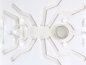 Preview: ANTCUBE - PF 20 L - ant - white
